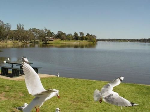 Centre Town Motel Nagambie Esterno foto